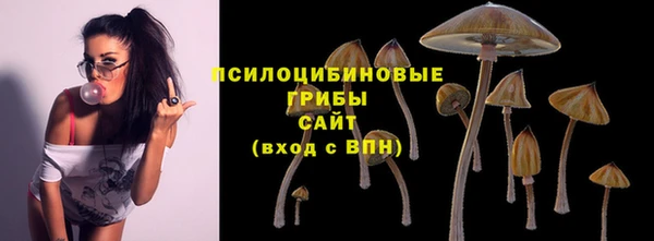 apvp Балабаново