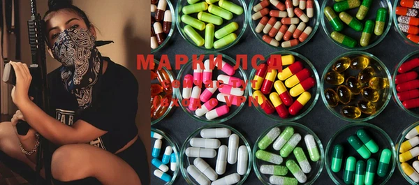 spice Лагань