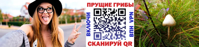 Купить закладки  Минеральные Воды  Галлюциногенные грибы мицелий 